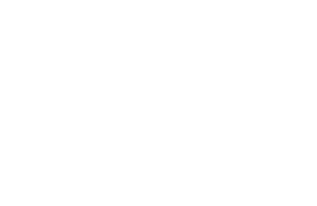 soledown_logo